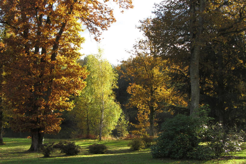 Les Vieux Guays Cerdon (Loiret) Exterior foto
