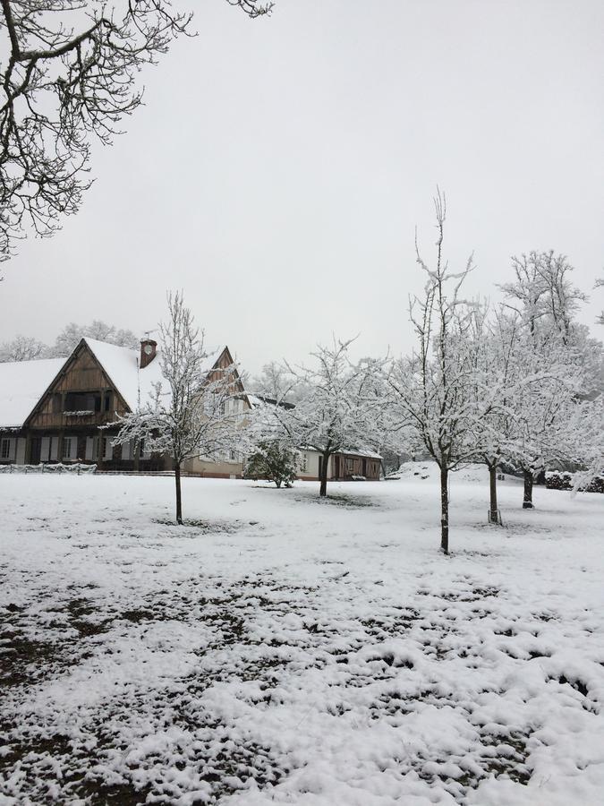 Les Vieux Guays Cerdon (Loiret) Exterior foto